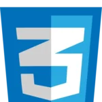 CSS